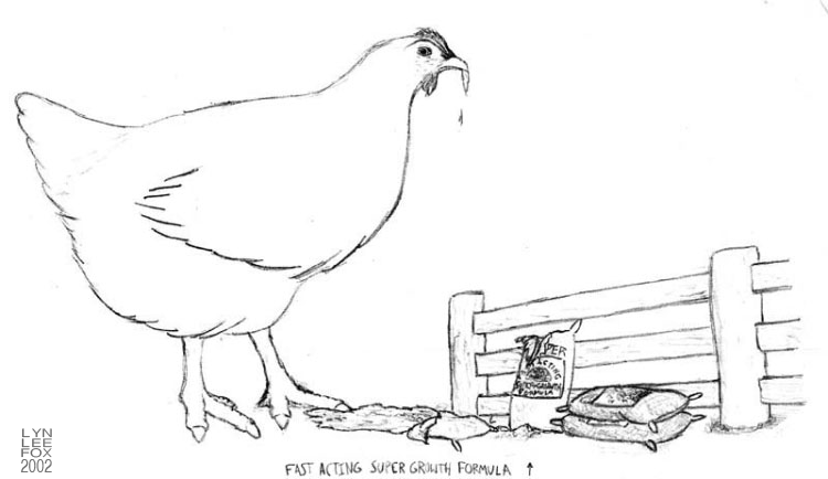 Chicken