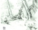 Forest Stream