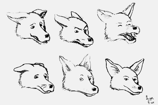 Facial Expressions