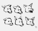 Facial Expressions