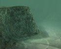 Under Sea
